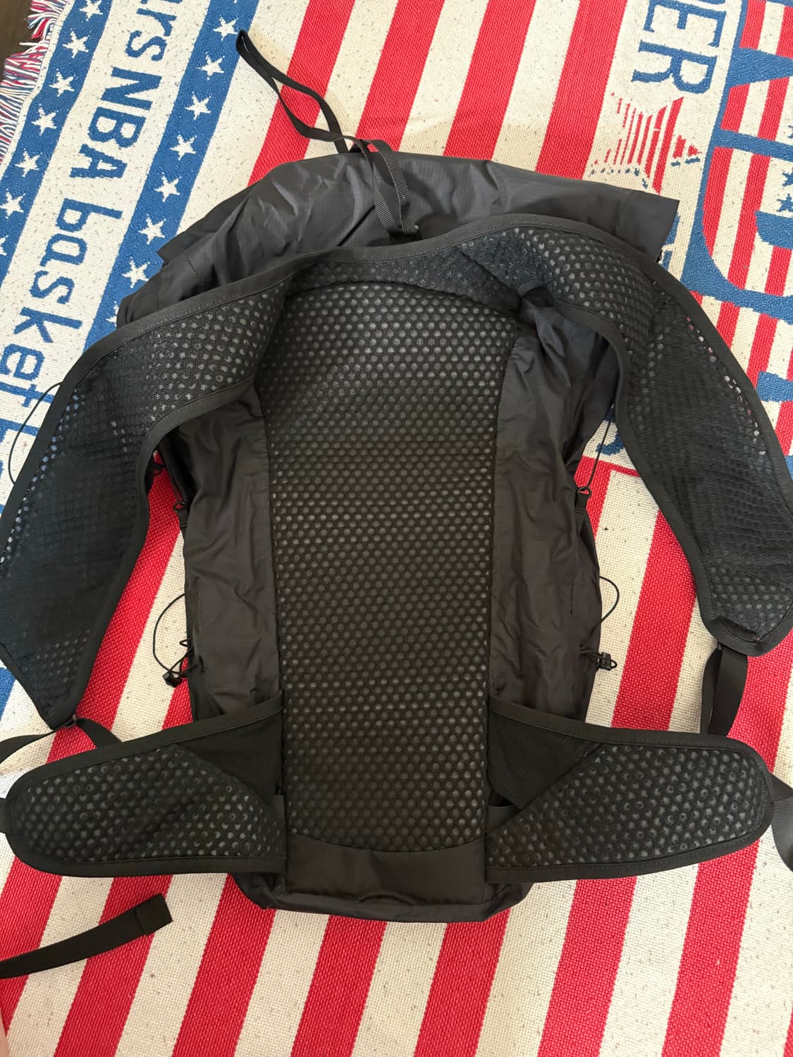 보리스비잔사베리 X 살로몬 백팩 상품이미지4