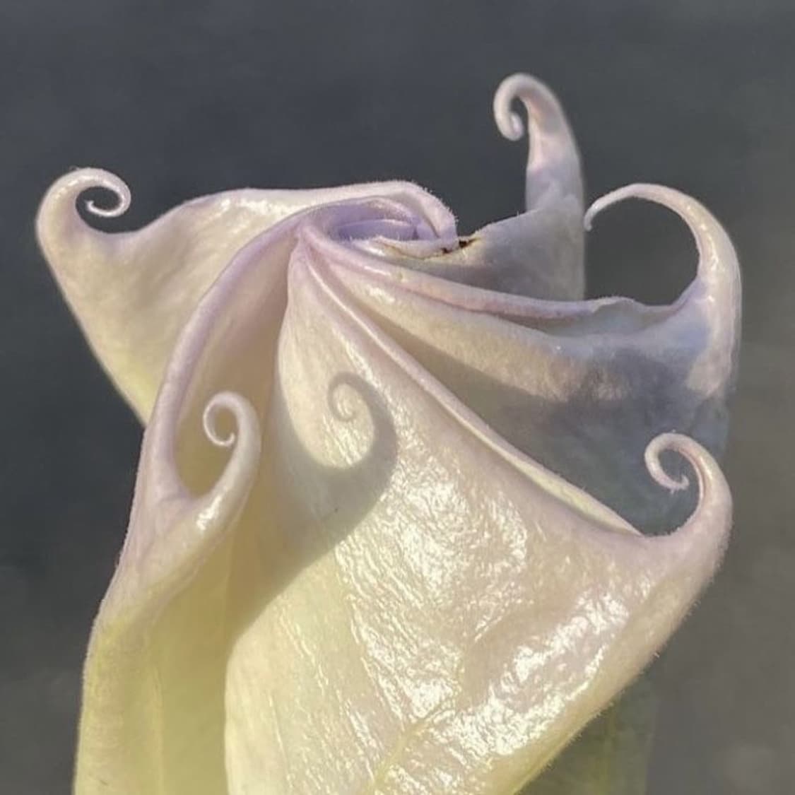 개인결제창 상품이미지1