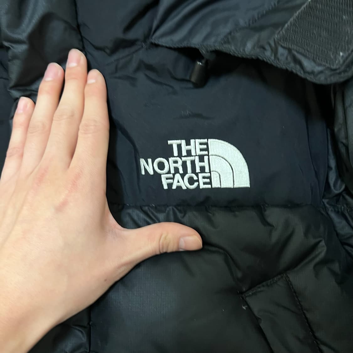 노스페이스 구스다운 윈드스토퍼 700 눕시 롱패딩 S/90  상품이미지3