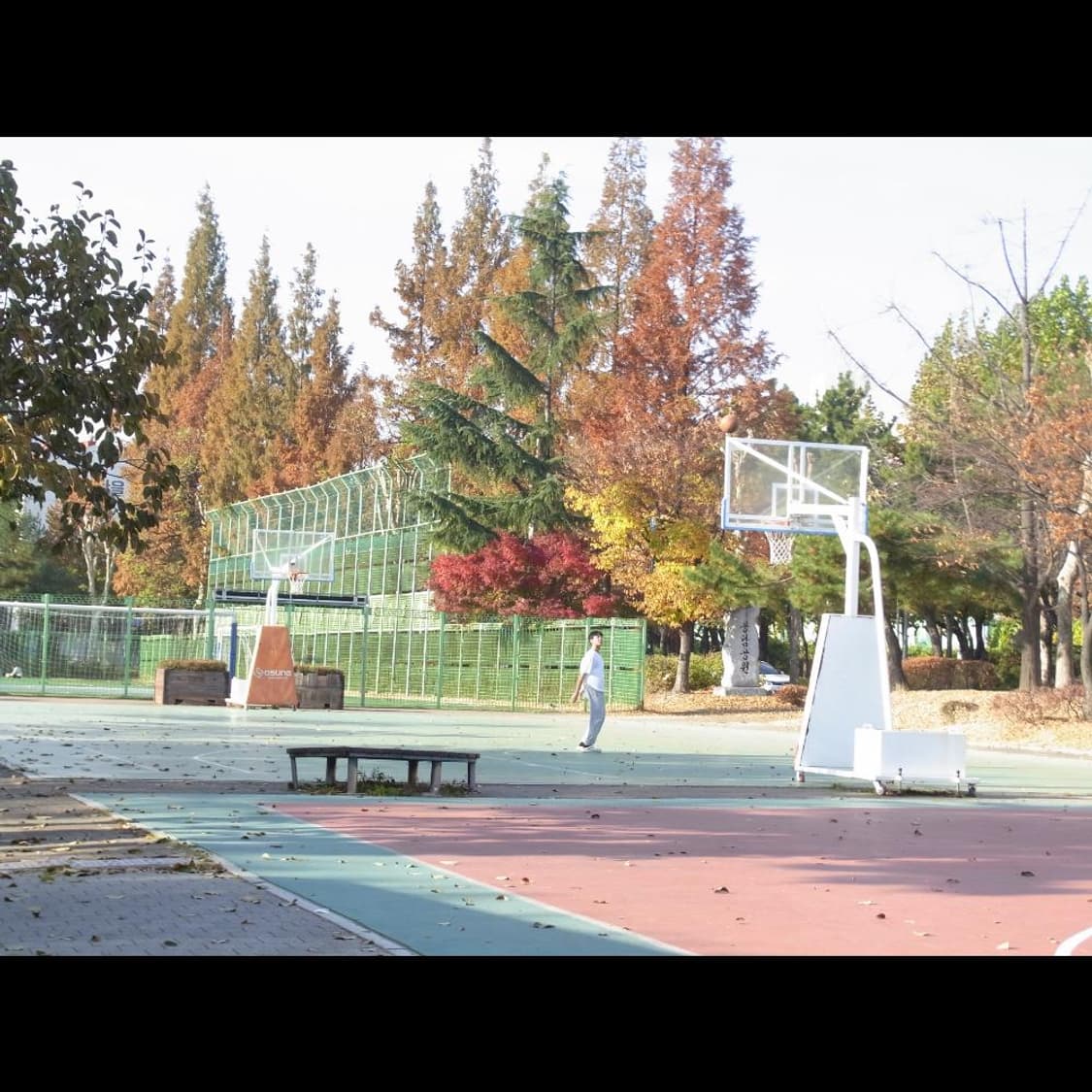 리코 CX3  플럼 퍼플 메탈릭🍇 (품번_BB491) 상품이미지7