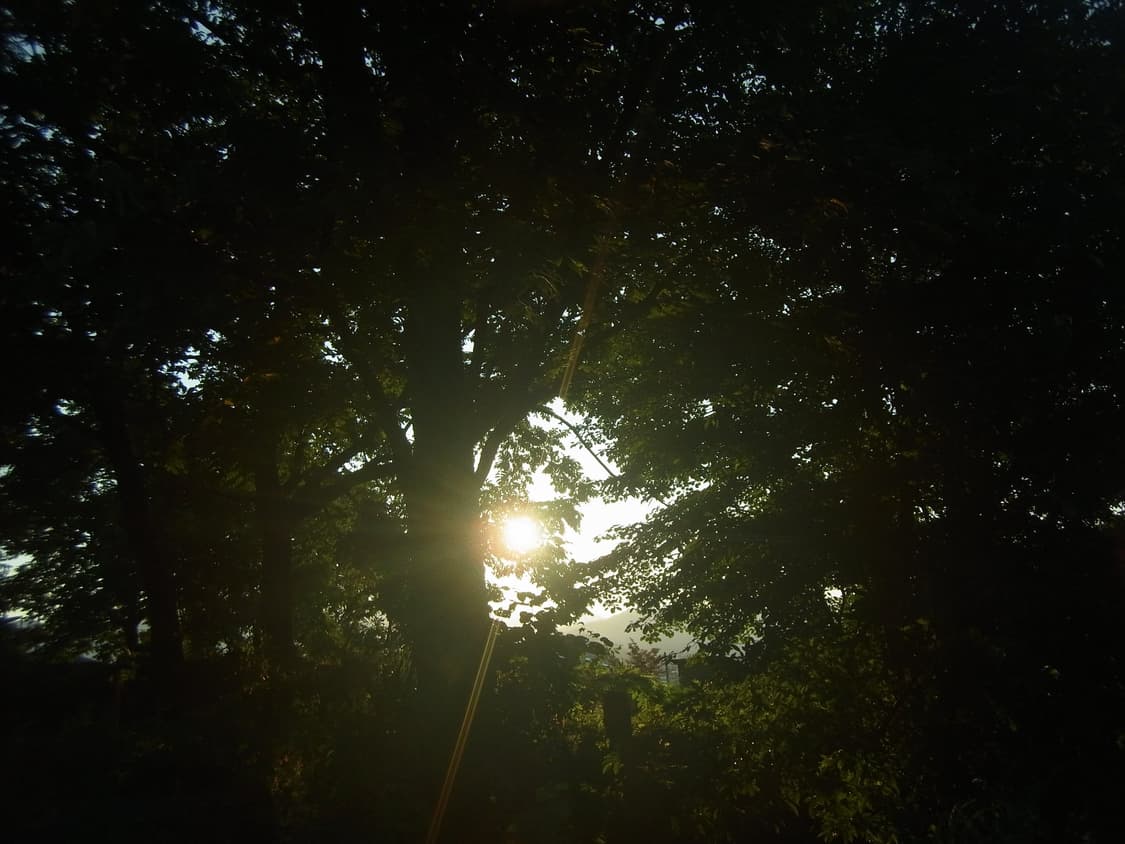 Ricoh px 디카 상품이미지4