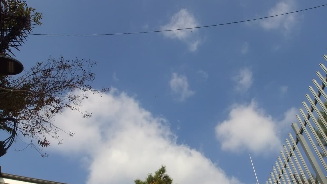 [민트급] 후지필름 파인픽스 Z800 EXR 핑크 디카🩷 (작례 O) 상품이미지5