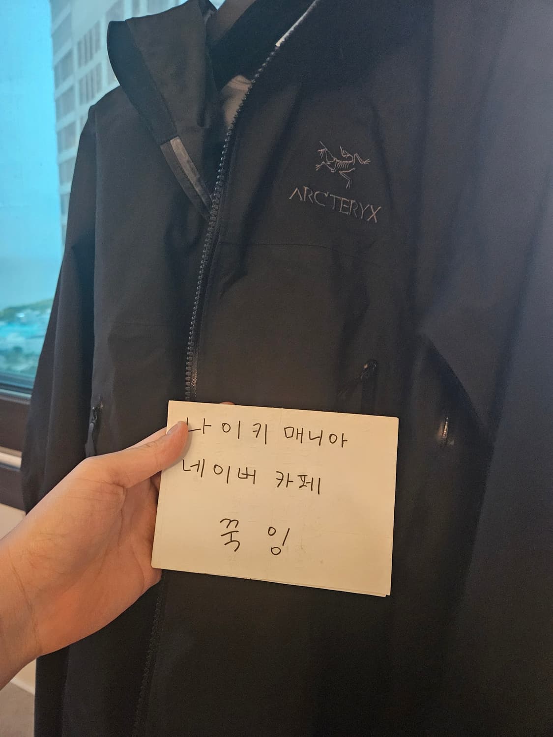 아크테릭스 베타ar 블랙 L 상품이미지6