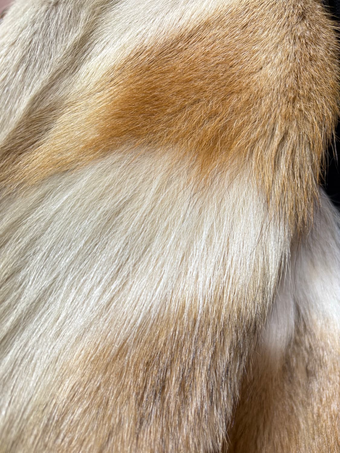 리얼퍼 베이지브라운 자켓 상품이미지1