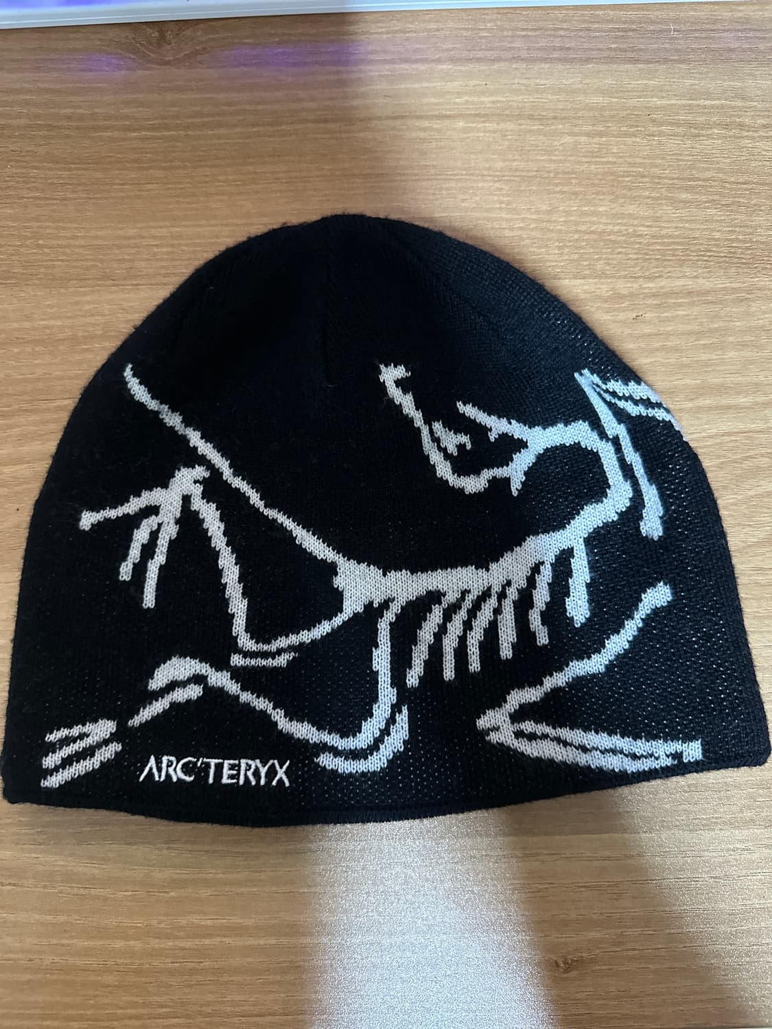 아크테릭스 비니 상품이미지1