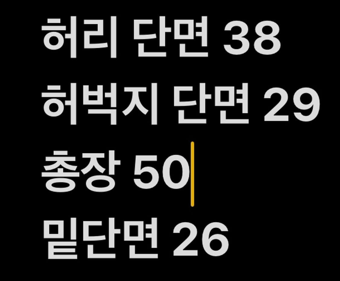 [ 정품/76 ] 내셔널지오그래픽 우븐 하프 팬츠 b14 상품이미지7