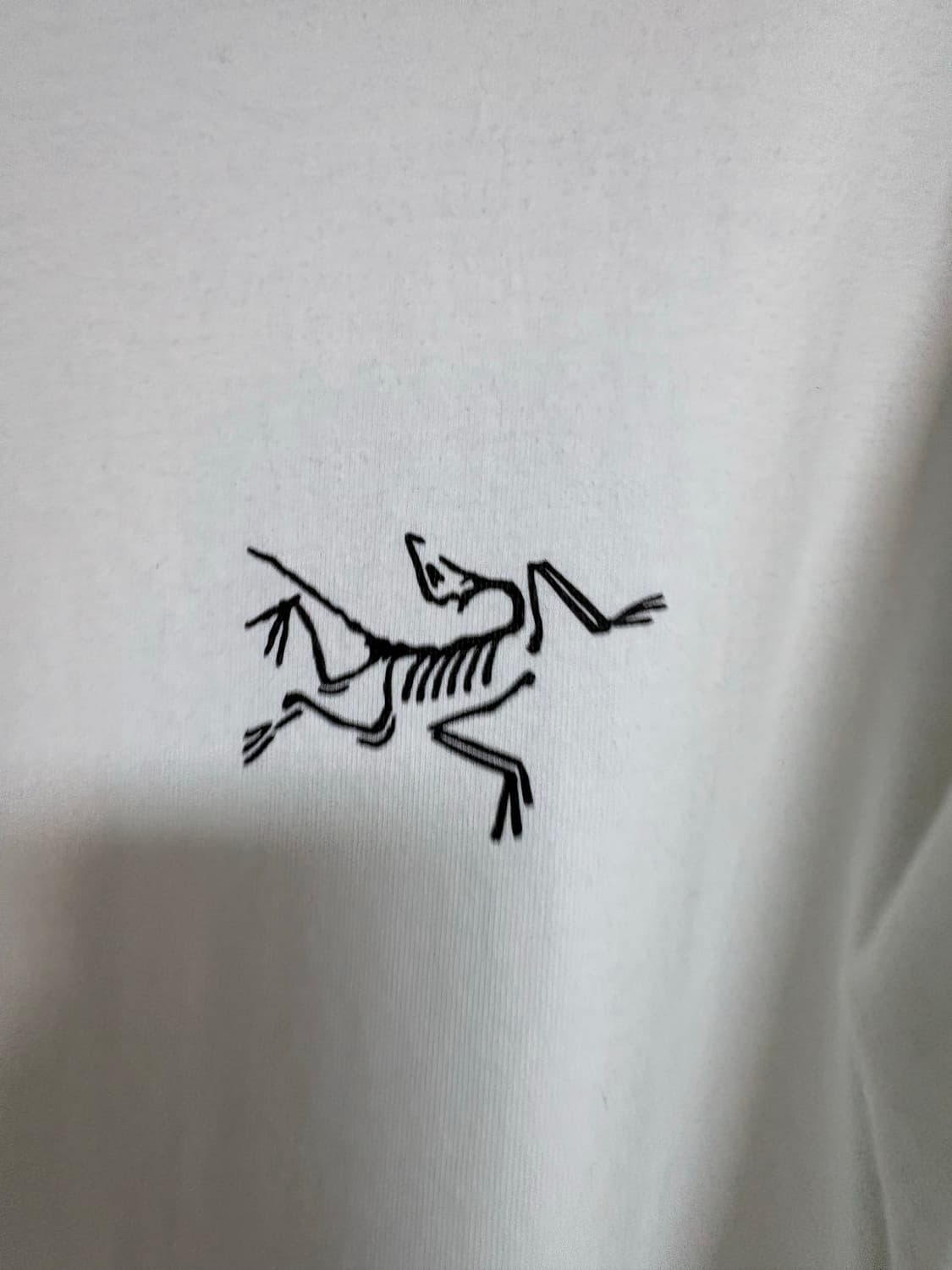 아크테릭스 롱슬리브 (크림) 상품이미지3