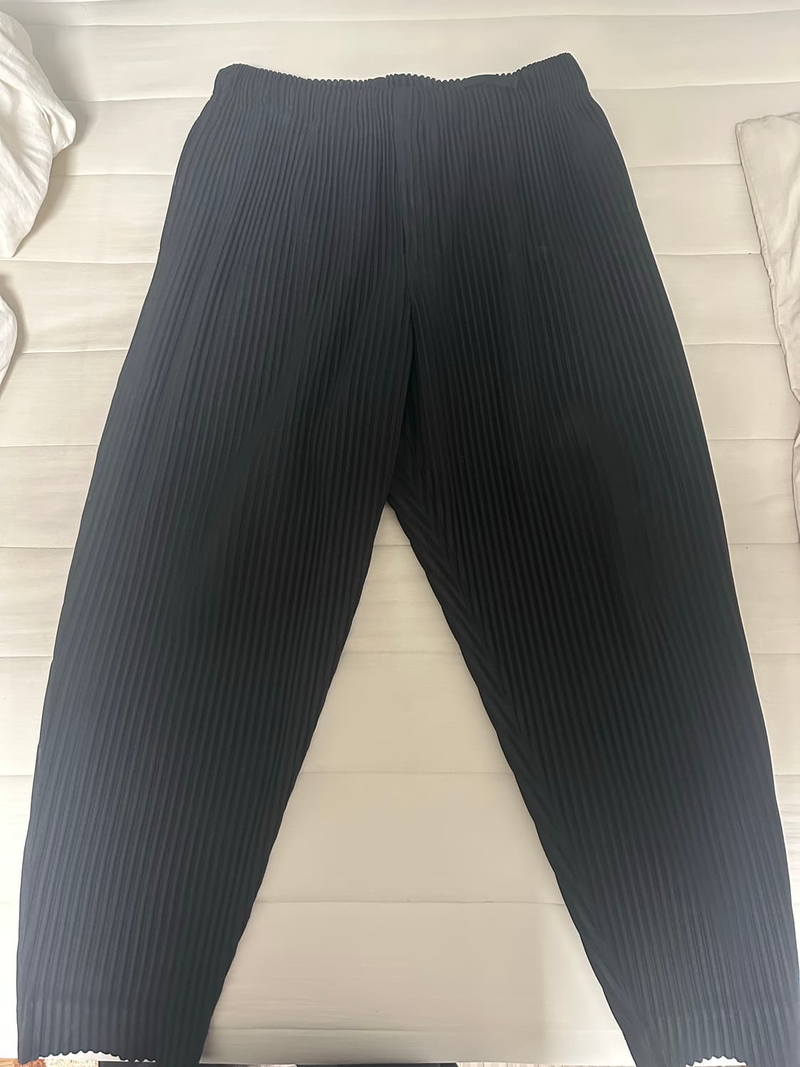 이세이미야케 플리츠 바지002 상품이미지1