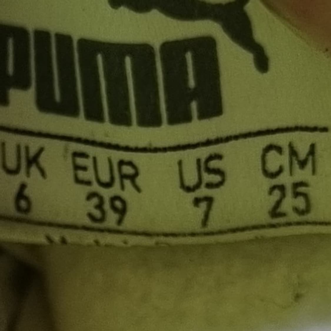 푸마 에보스피드 풋살화250 상품이미지6