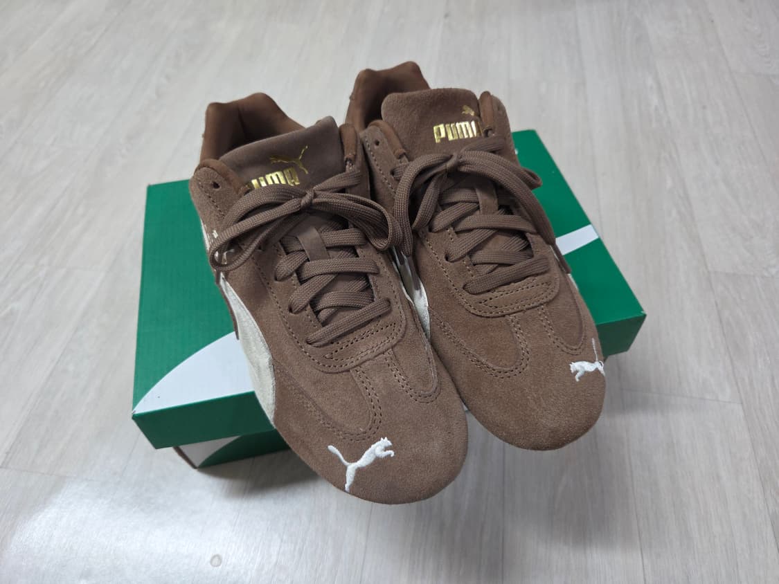 스피드캣 브라운 245 상품이미지2