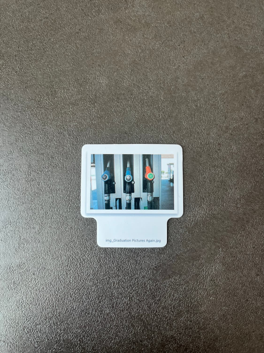 [M] 테프스토어즈 pipio - Japan (tanned purple) 상품이미지7