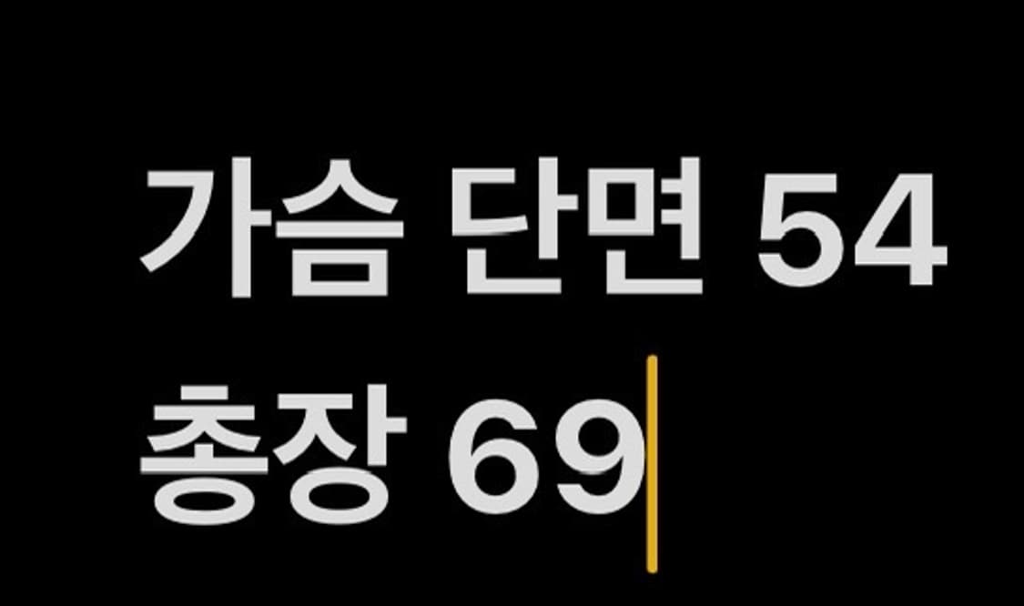 [정품/105,XL] 스파이더 us스키팀 집업 져지 b14 상품이미지8