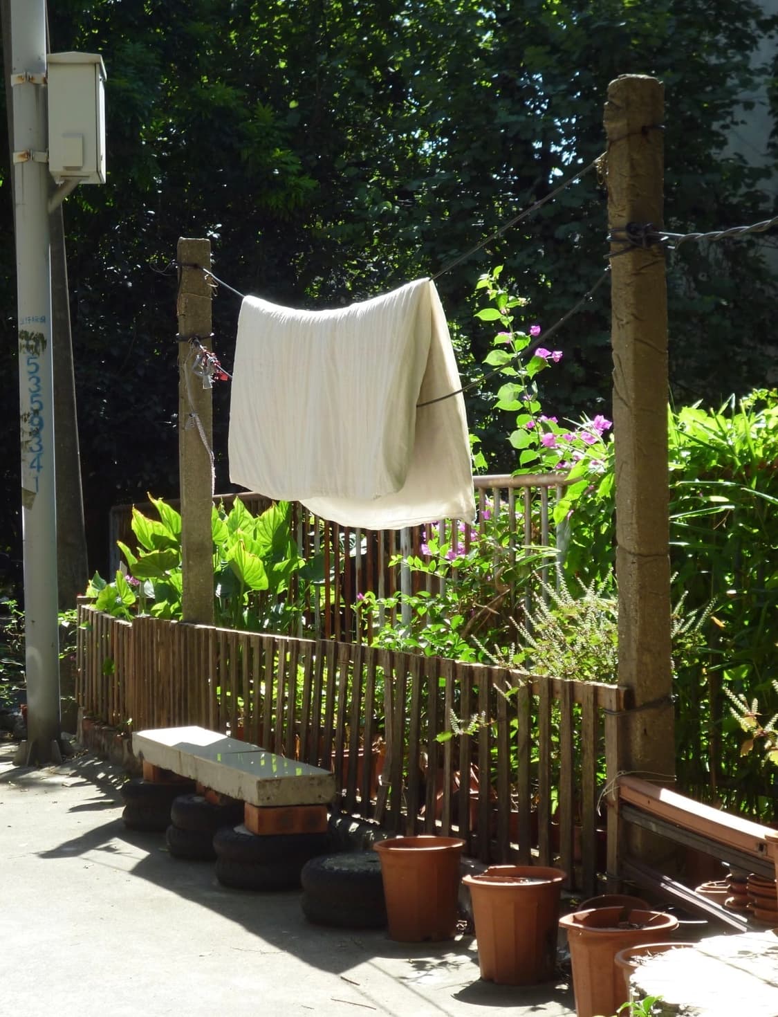 박스상품!) panasonic lumix dmc-s 빈티지 디카 상품이미지7