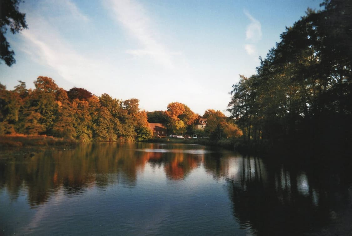 작례O 명기 보이그랜더 삼성 케녹스 z115f 파노라마 필름카메라 빈티지 상품이미지6