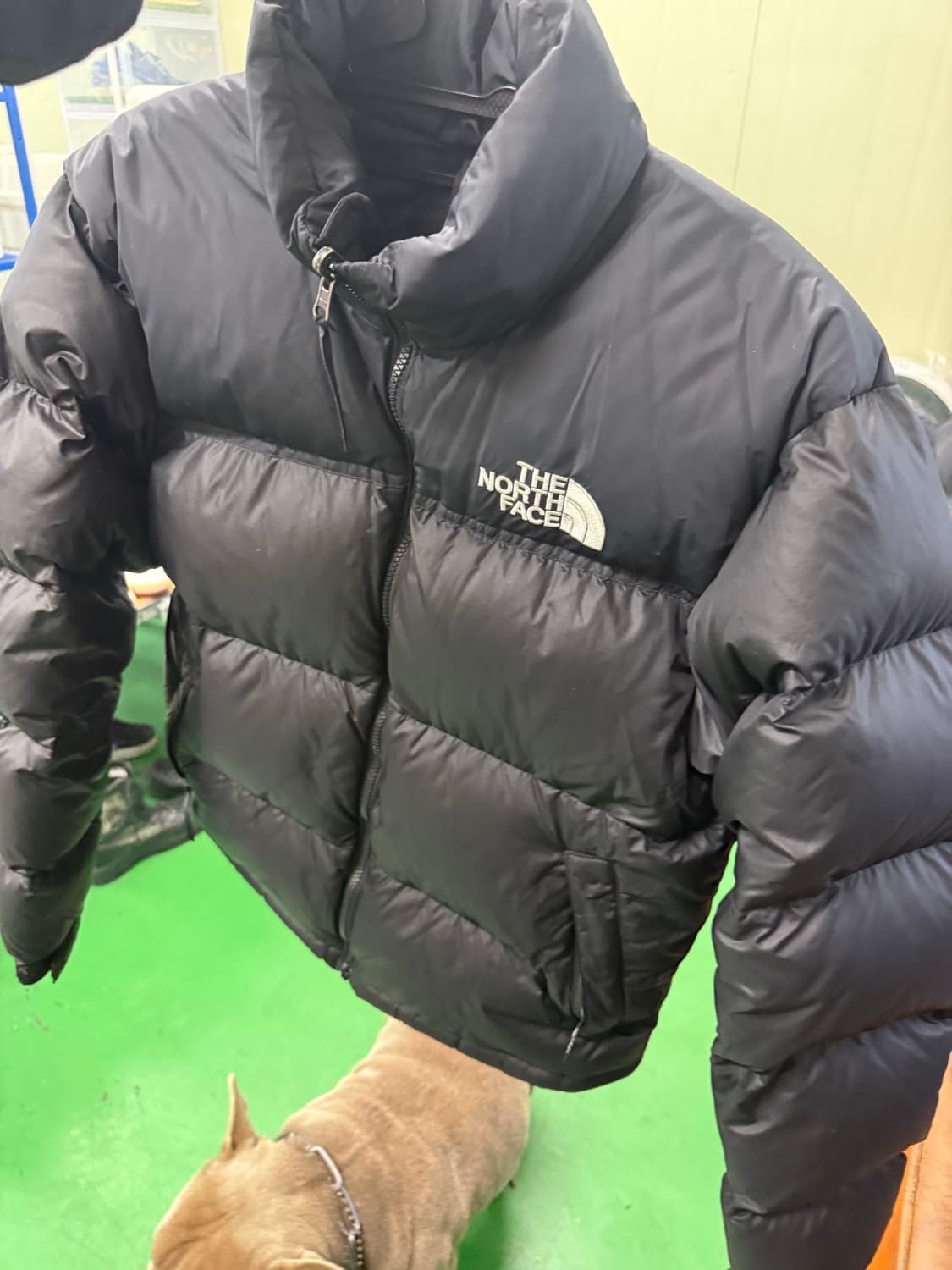 노스페이스 에코 눕시패딩 상품이미지4