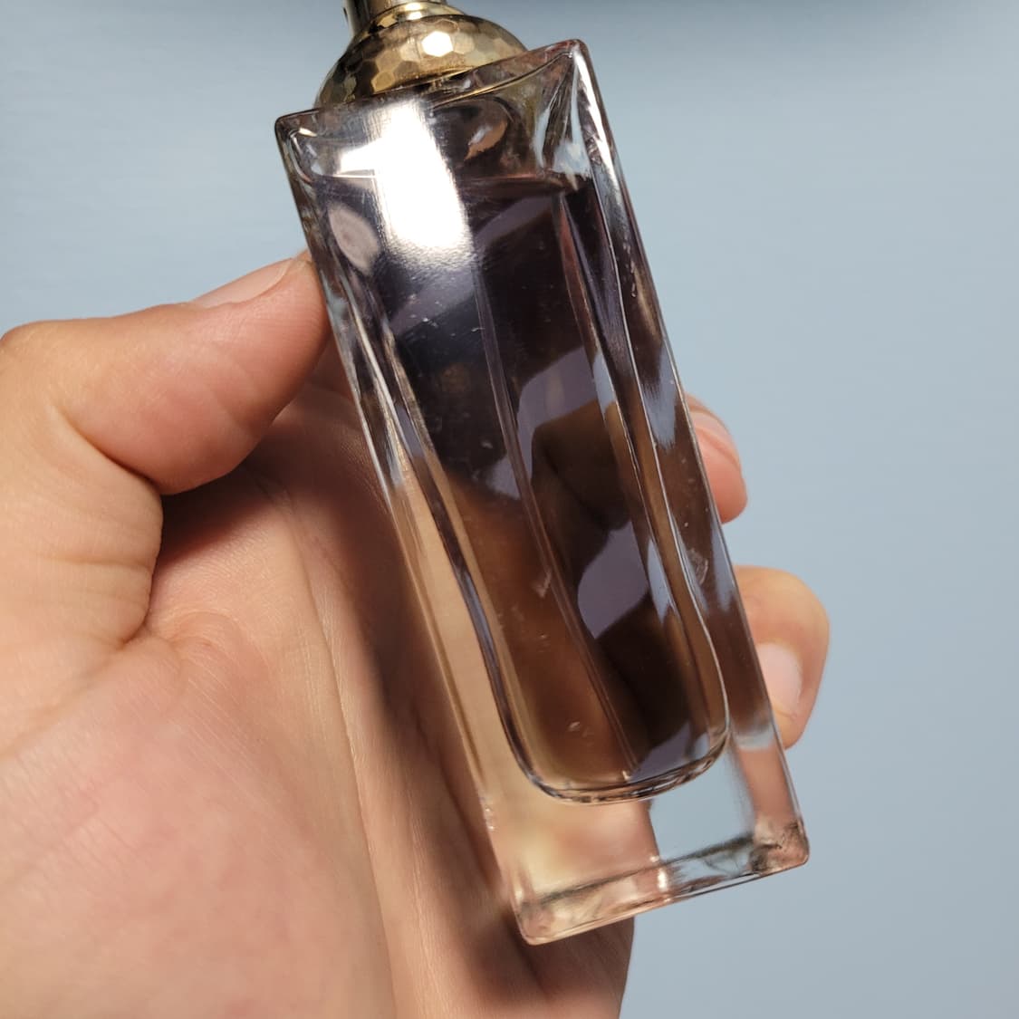 헤라 지일 EDT 50ml 향수 (4) 상품이미지6