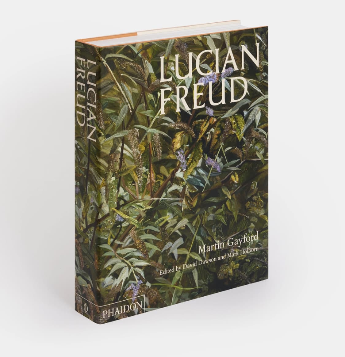 미개봉 / Lucian Freud 루시안프로이드 작품집 상품이미지3