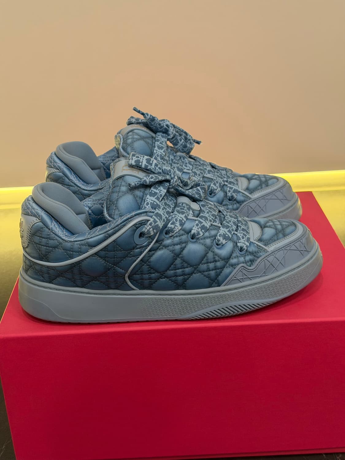 디올 Dior x ERL B310 스케이터 스니커즈 상품이미지6