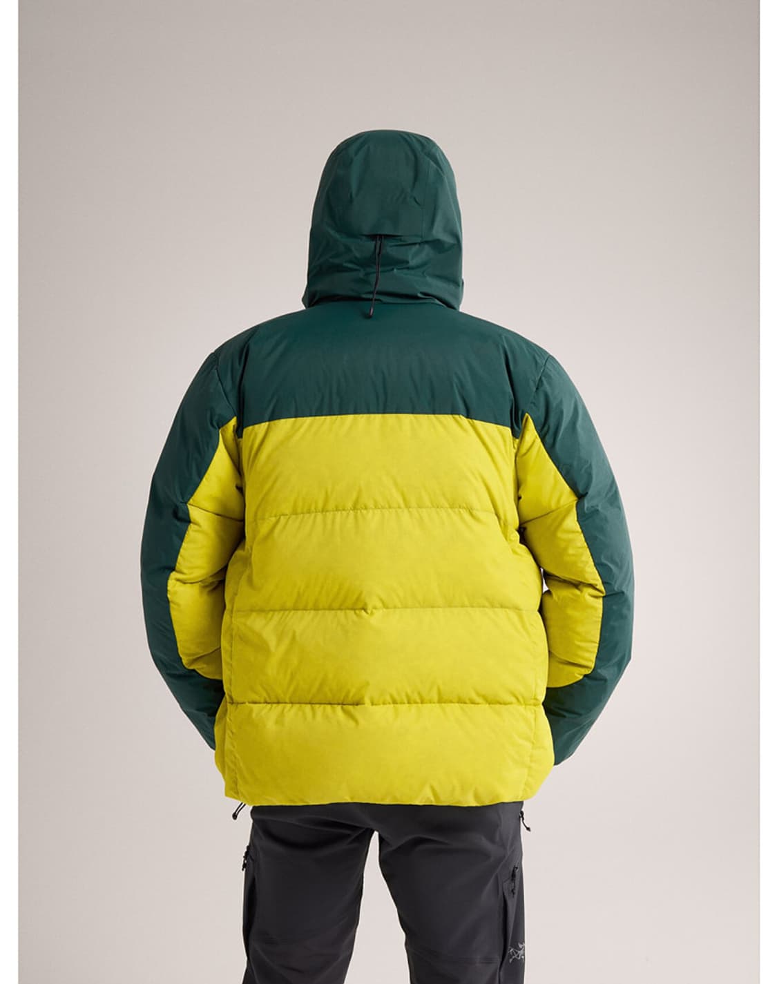 Arc'teryx Thorium SV Hoodie Jacke 상품이미지3