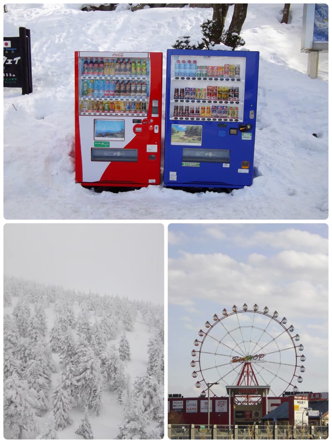 아이브 레이 도트 디카) 뽀용 펜탁스 rs1000 디지털카메라 빈티지 상품이미지4