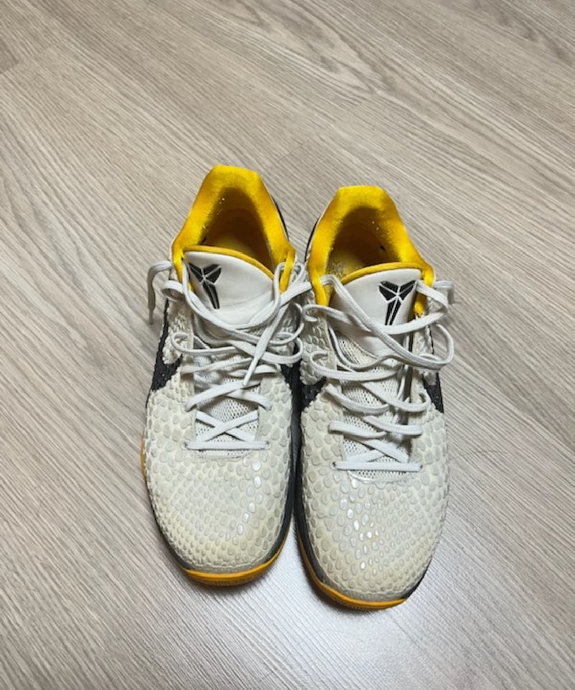 코비 6 델솔 상품이미지1