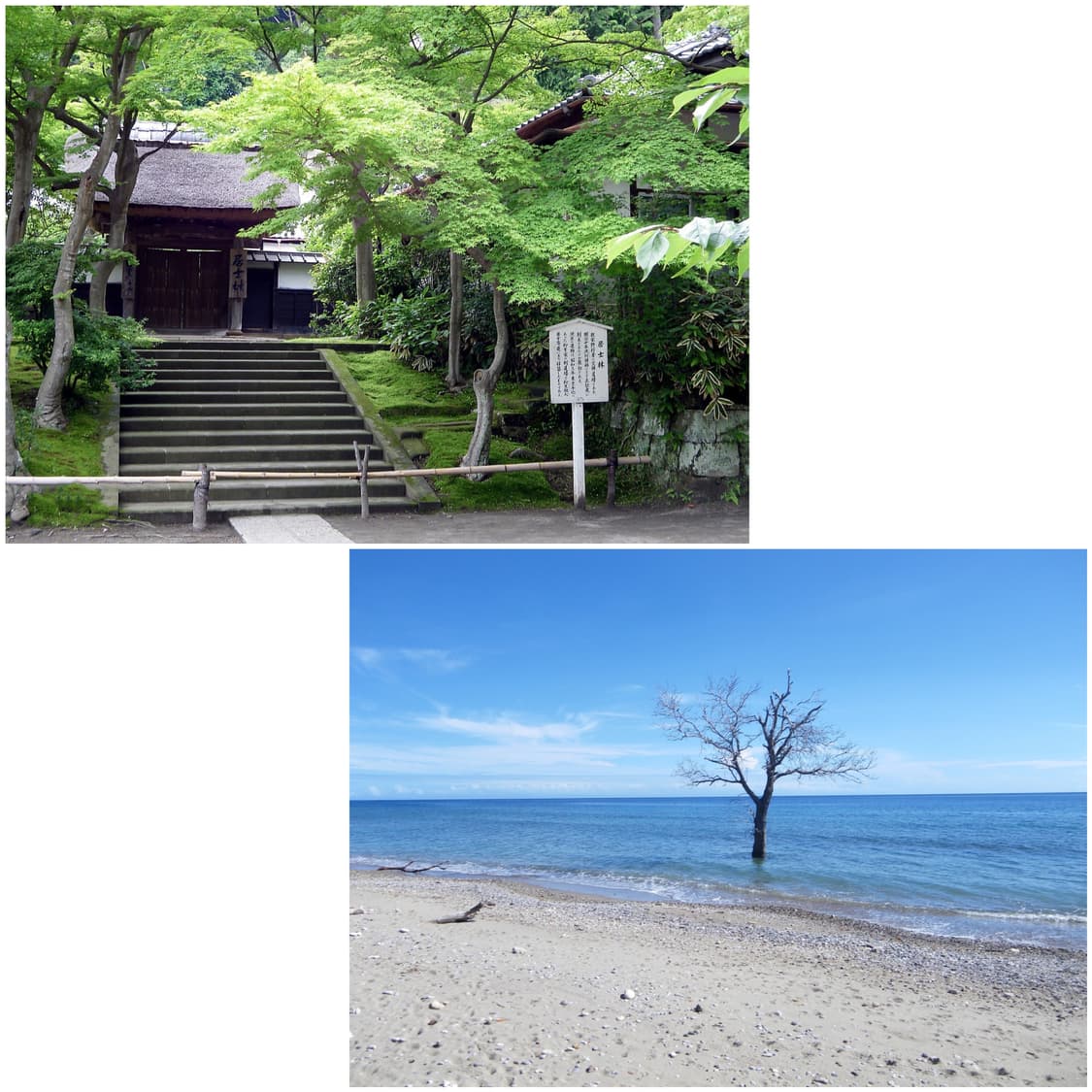 펜탁스 옵티오 P70 베이비블루 빈티지디카 상품이미지2