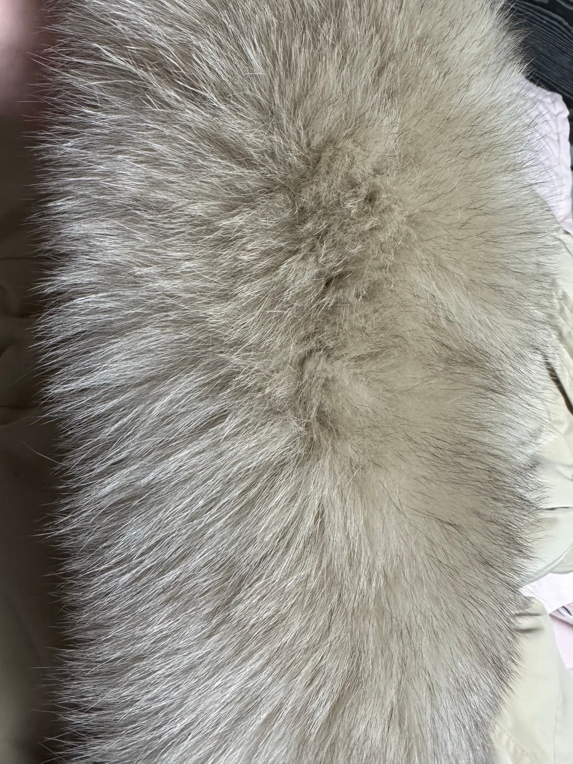 새상품 원가 35만원‼️천연 폭스 덕다운 폭스퍼패딩 벨트패딩 롱패딩 여성 상품이미지10