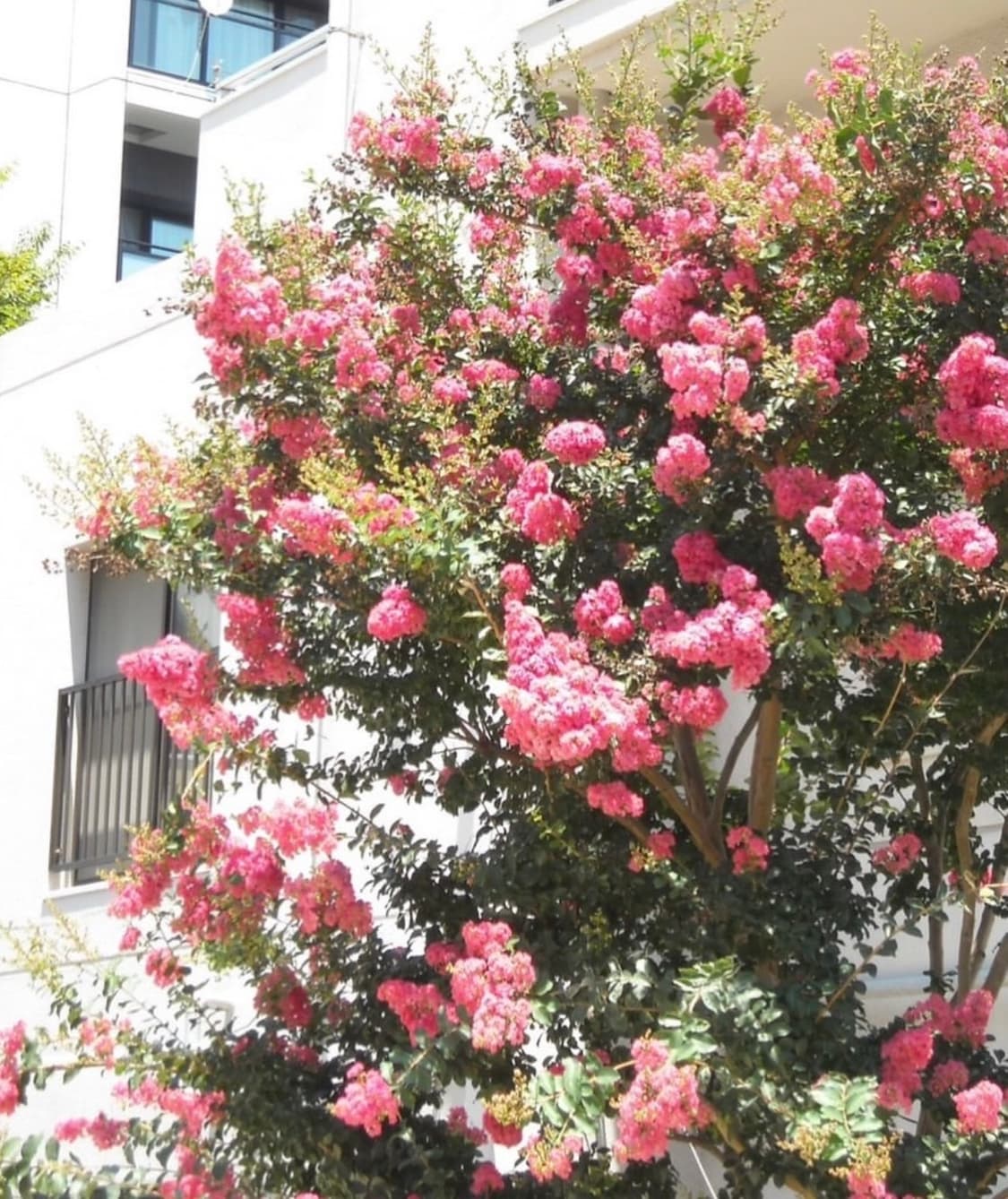 후지필름 fujifilm 파인픽스 F600 EXR 샴페인골드 디카 상품이미지7