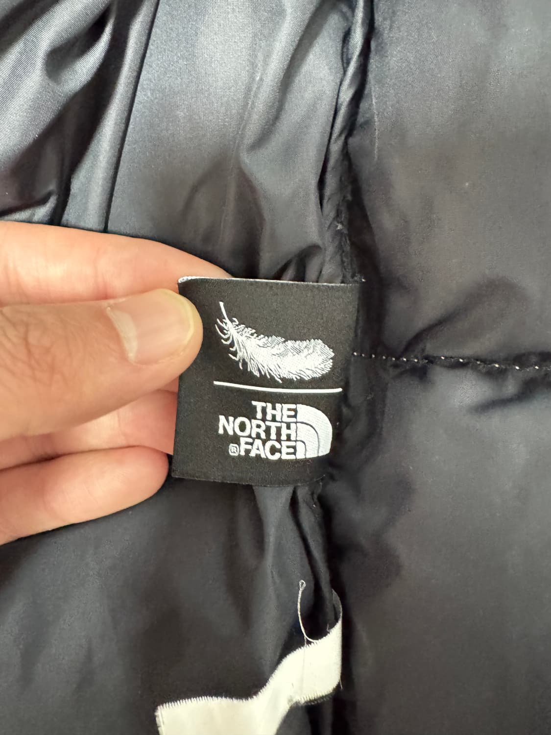 노스페이스 1996 노벨티 눕시 (누트럴 그레이) 상품이미지4