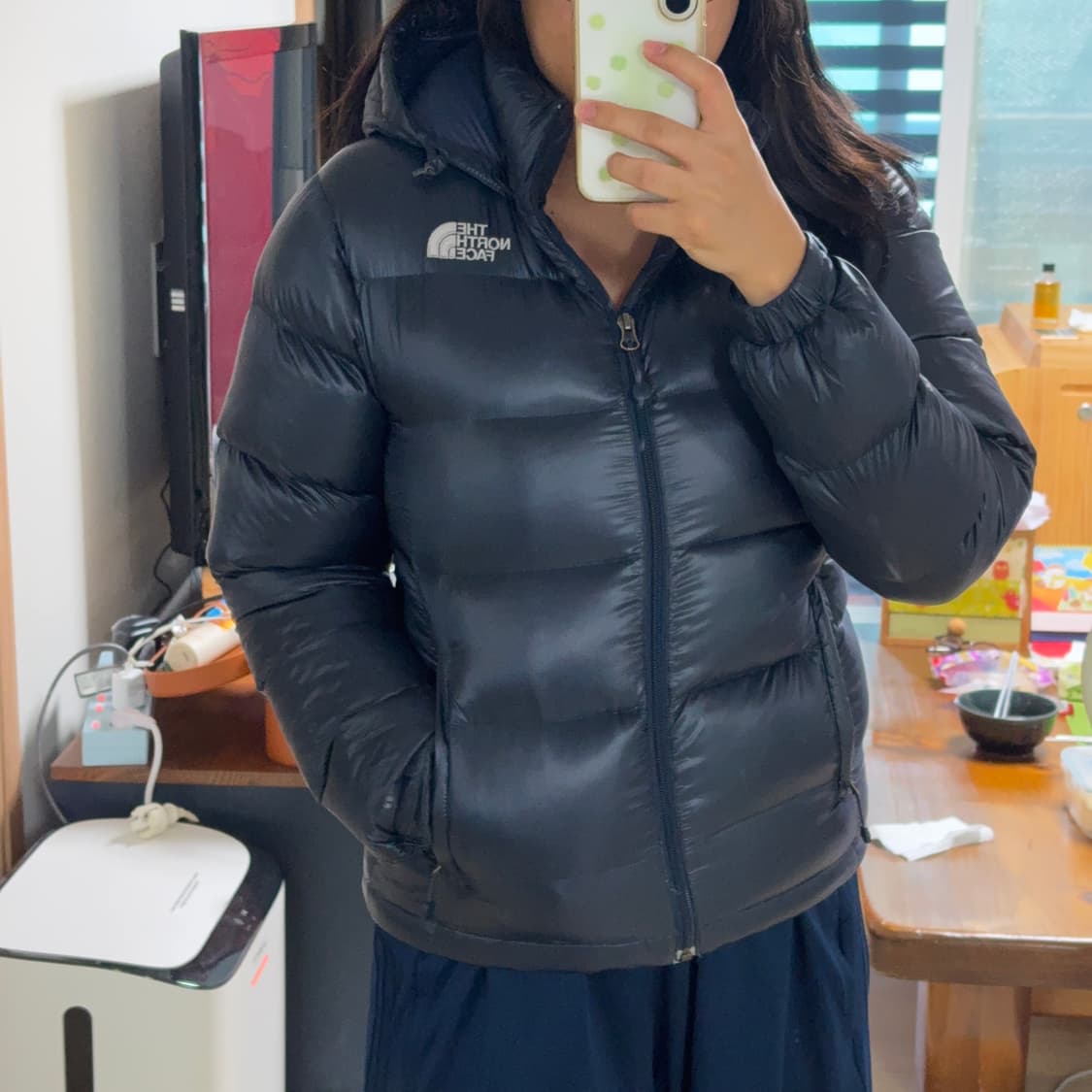 노스페이스 구스다운 네이비 700 패딩 상품이미지2