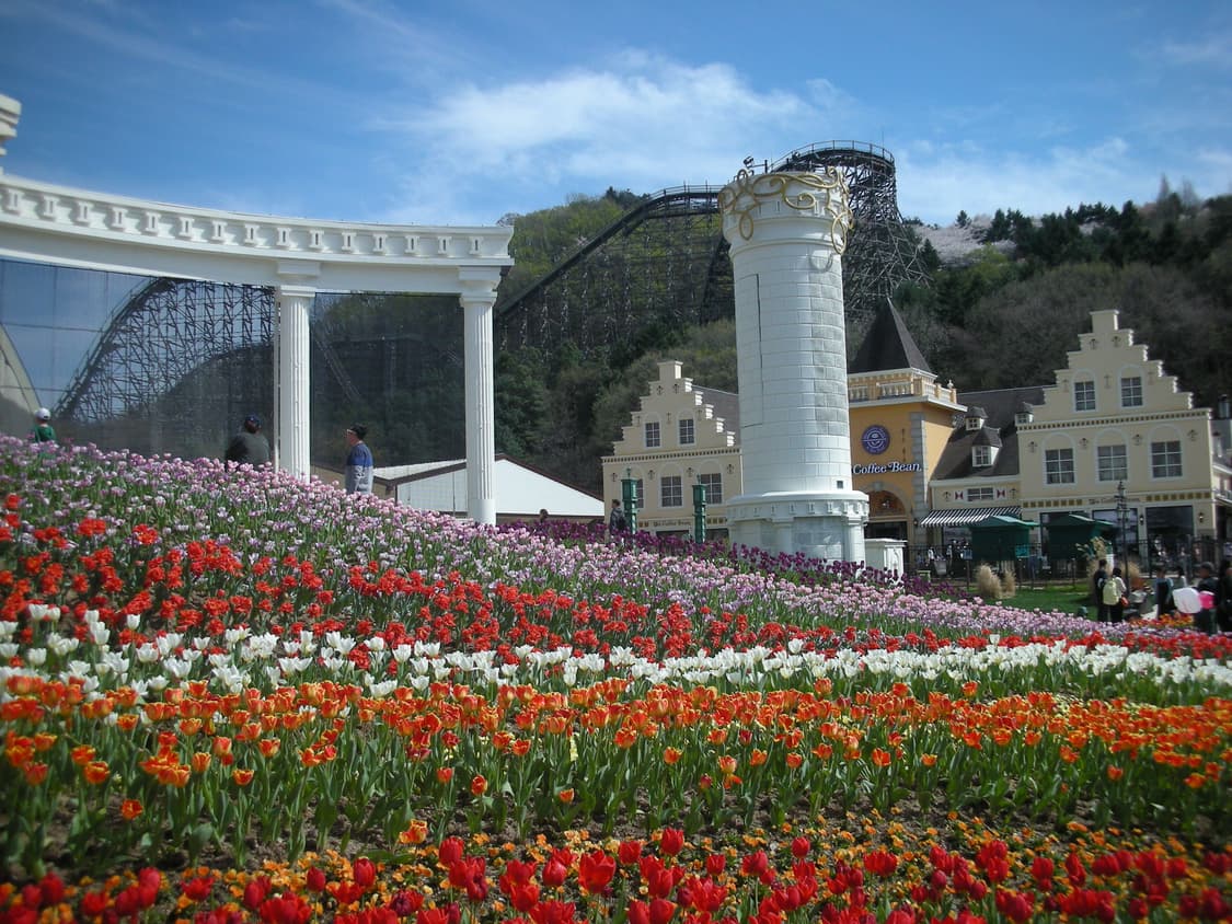 니콘 쿨픽스 팔아요 (베터리, 충전기, 메모리 포함) (작례있습니다) 상품이미지7