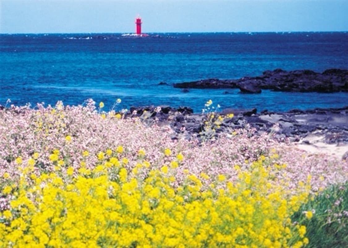 * 3/4(수)~11(수) 동안 배송이 어렵습니다. 상품이미지1