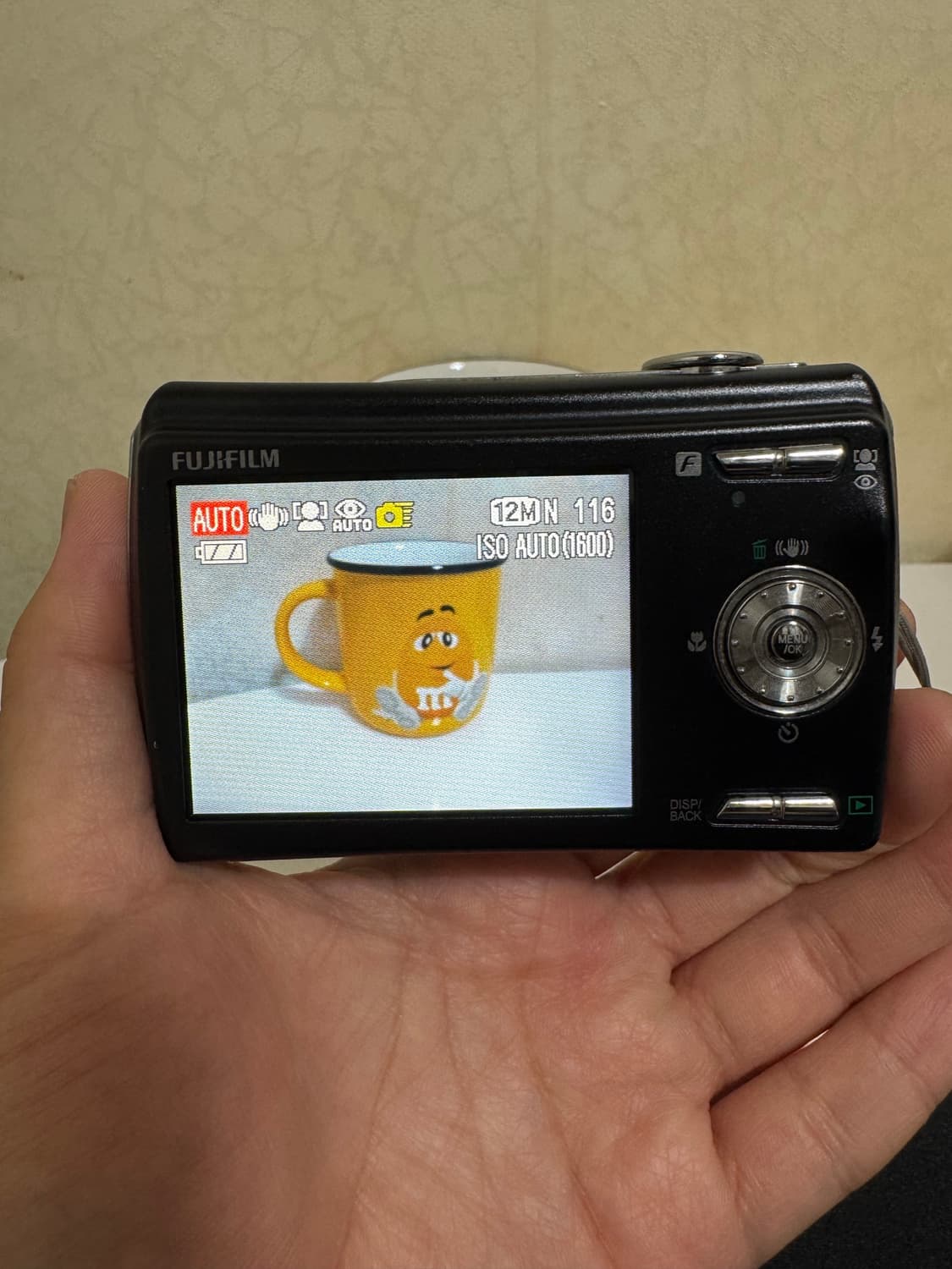 후지필름 파인픽스 F100fd 디카 상품이미지2