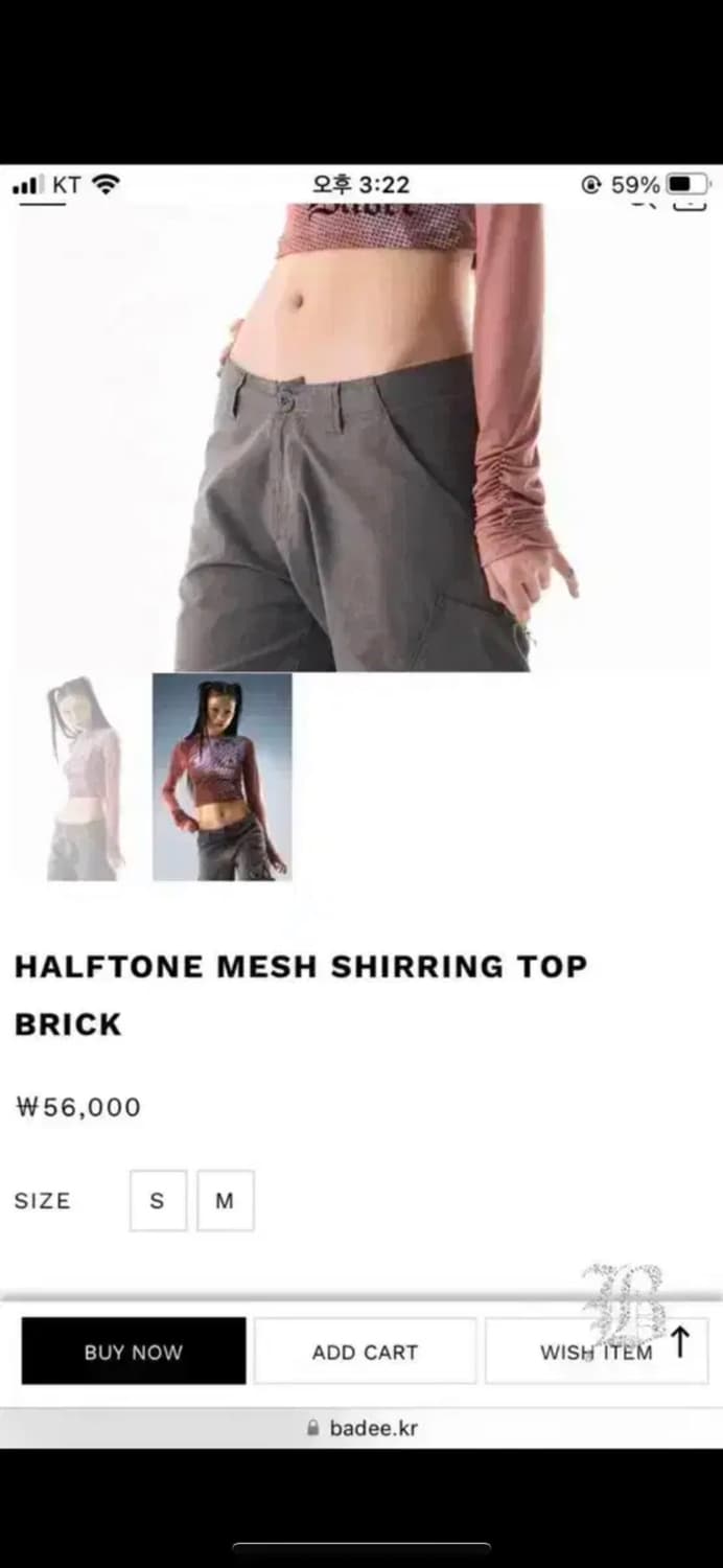 Badee 배디 셔링 티셔츠 탑 HALFTONE MESH SHIRRING 상품이미지8