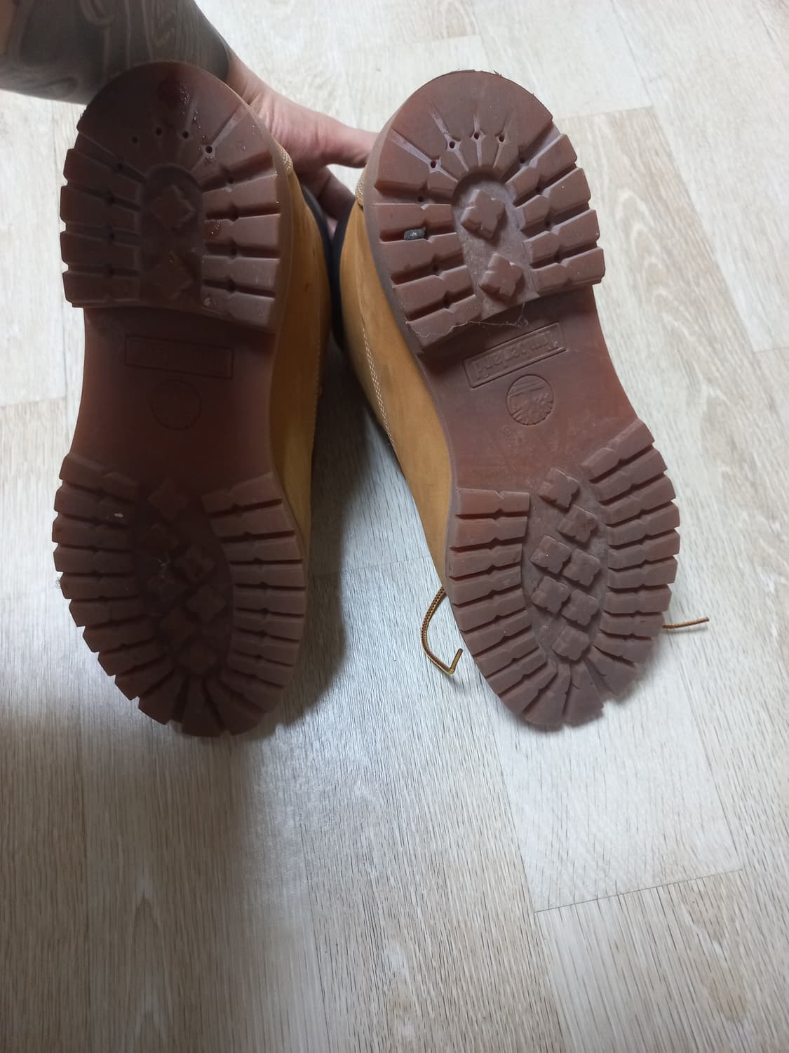 팀버랜드 6인치 280 상품이미지6