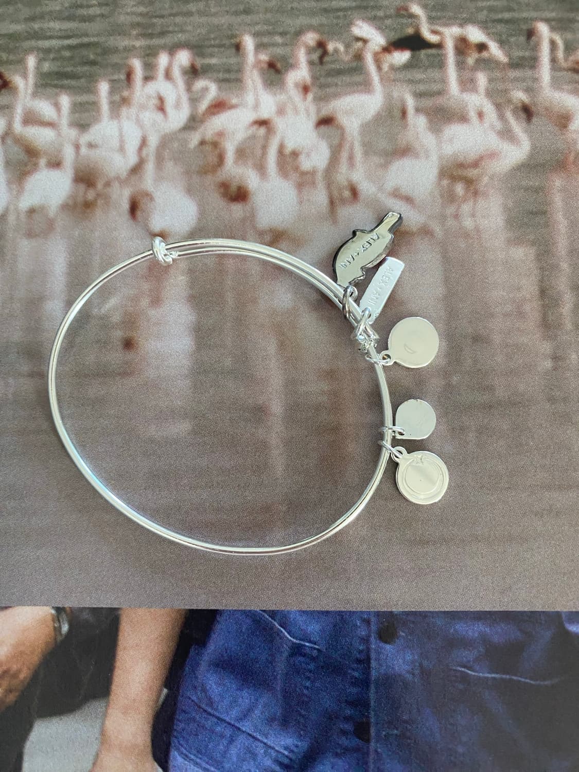 Alex and Ani 카디널 참 뱅글 (실버톤) 팔찌 상품이미지4