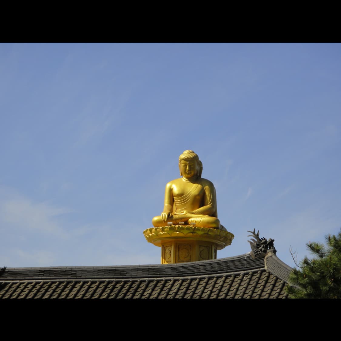 작례⭕️ 소니 사이버샷 DSC-TX5 상품이미지8