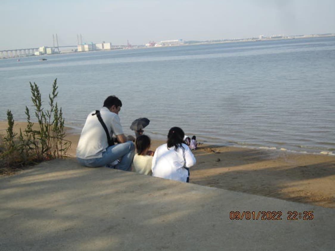 (네고가능!)캐논 익서스 210 canon ixus 210 상품이미지3