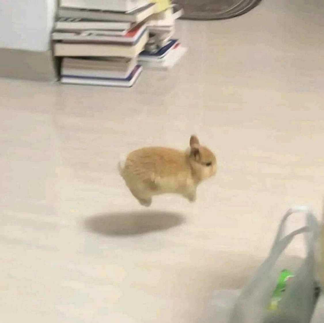 예약금 결제창  상품이미지1