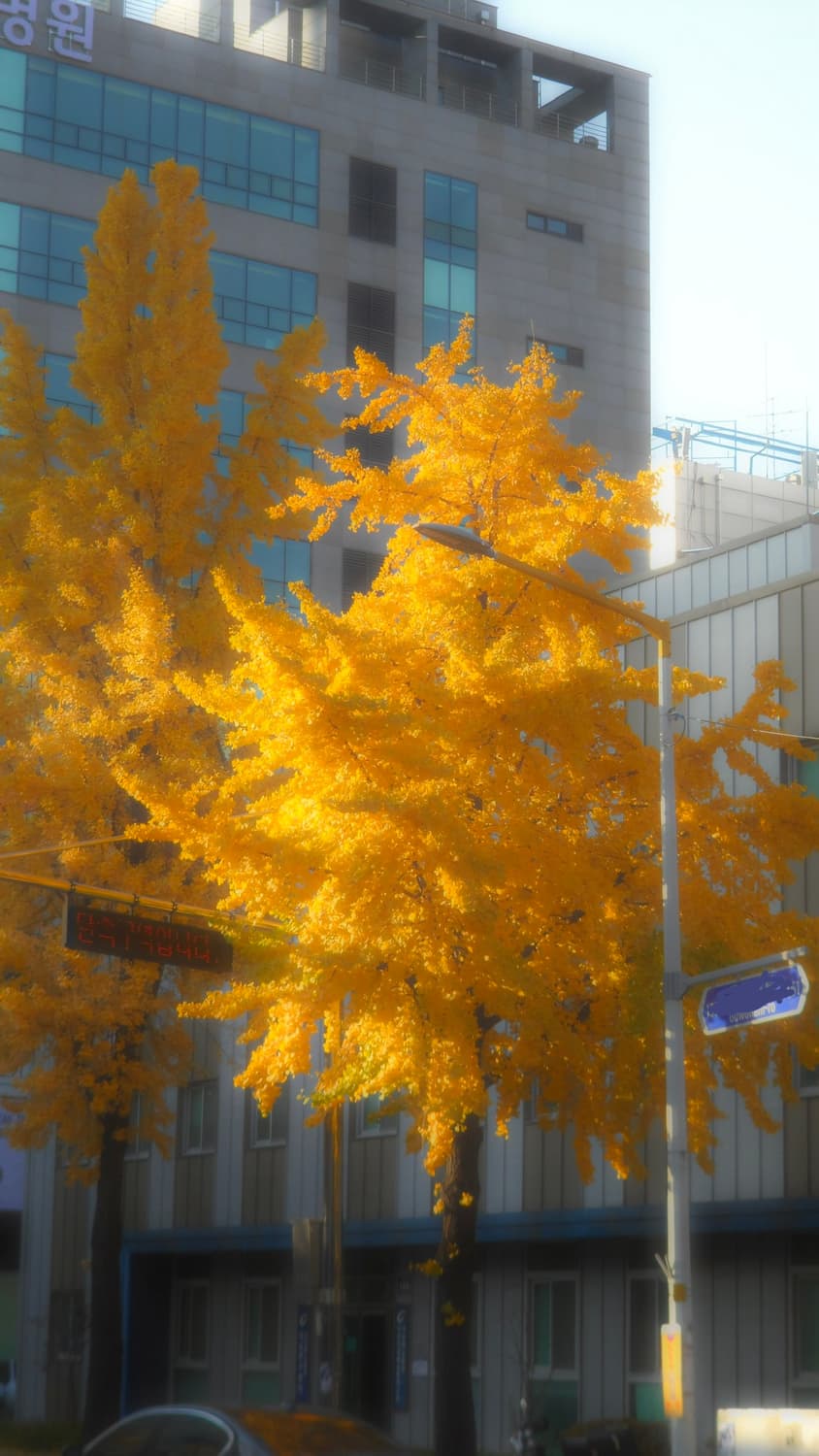 (작례o) 삼성 미러팝 디카 MV800 상품이미지5