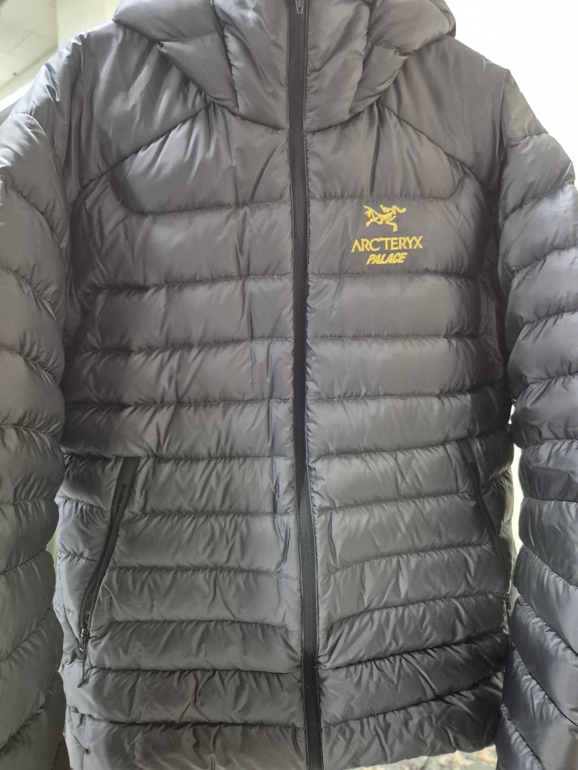 M) 아크테릭스 팔라스 세륨 lt 후디 상품이미지1