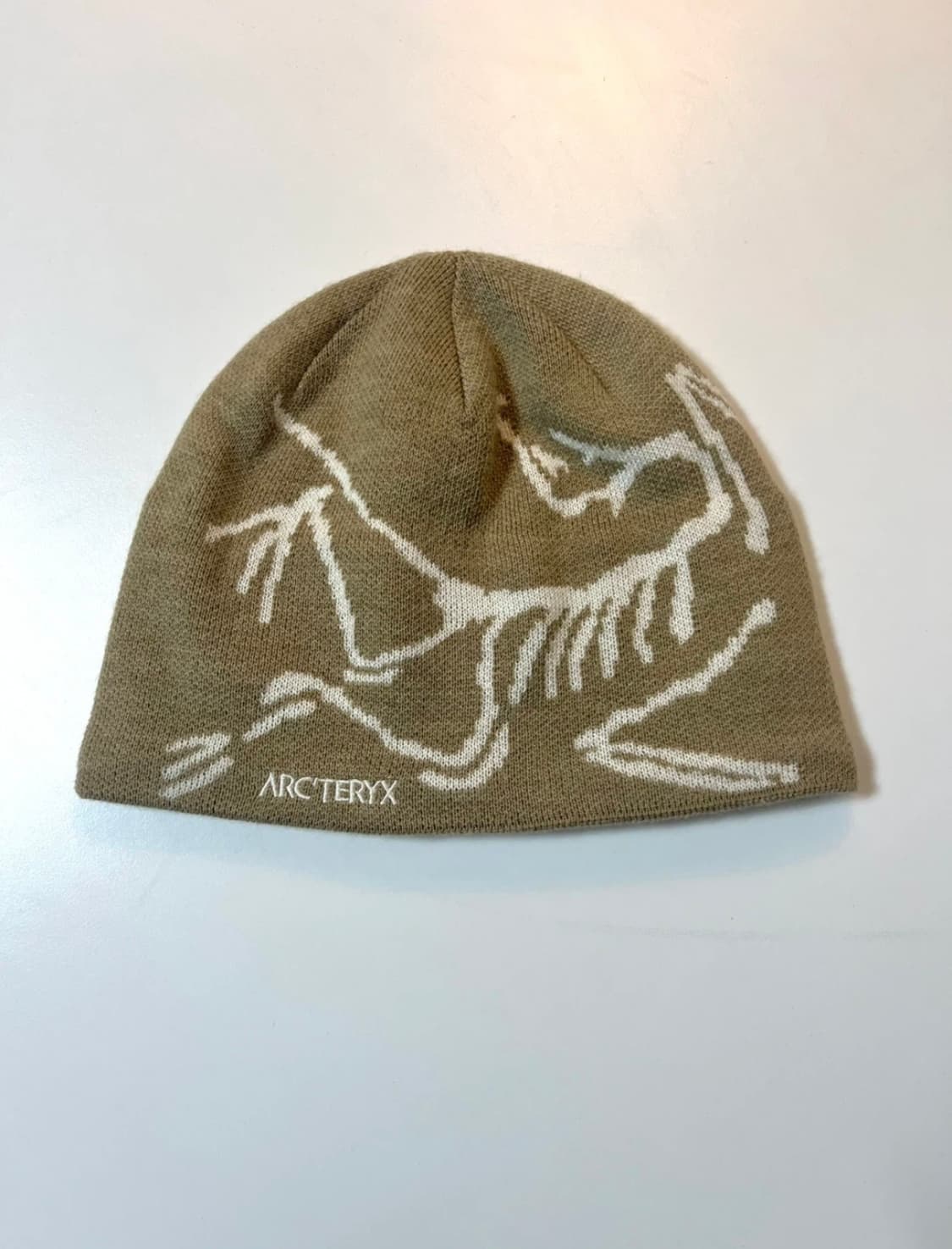 아크테릭스 버드 헤드 비니 상품이미지2