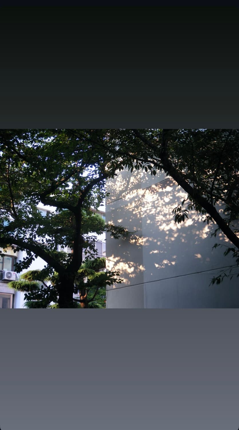 후지필름 파인픽스 F60fd 민트급 빈티지디카 풀박 (작례ㅇ) 상품이미지9