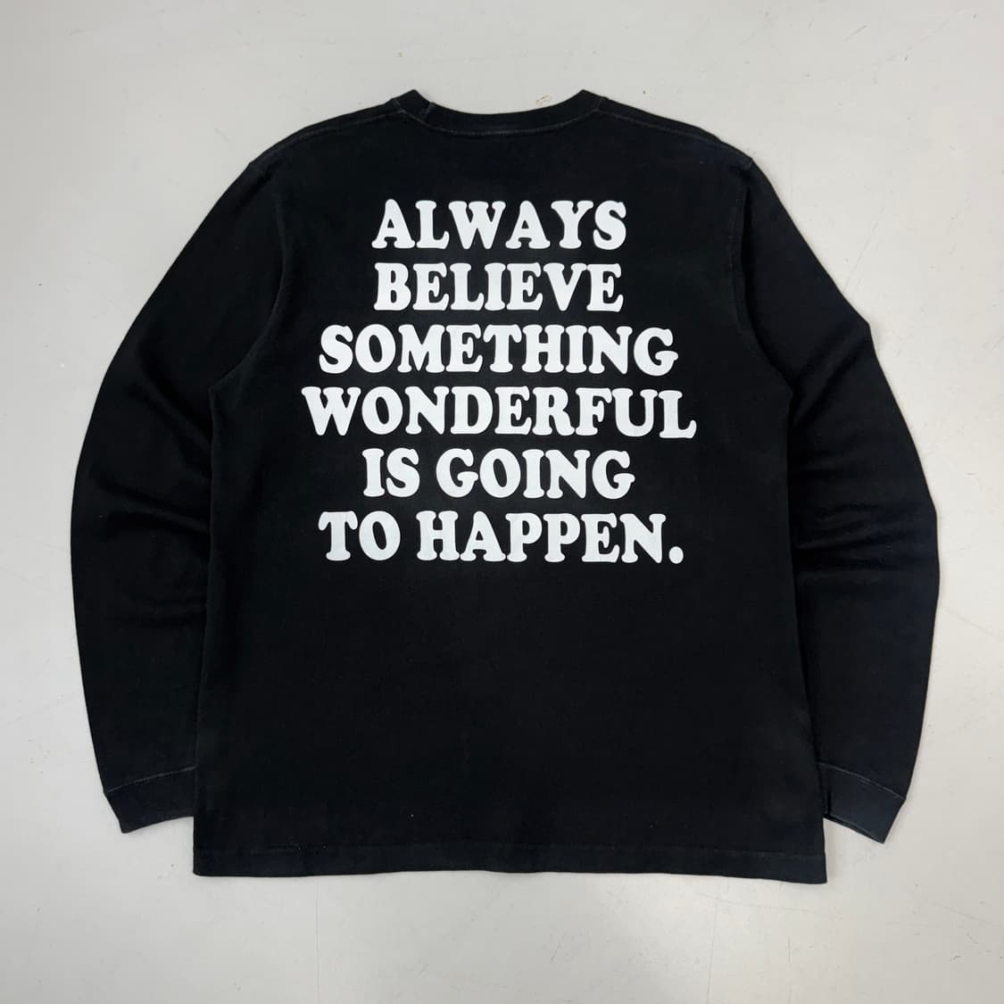 DOGTOWN 독타운 도그타운 스누피 롱슬리브 상품이미지3