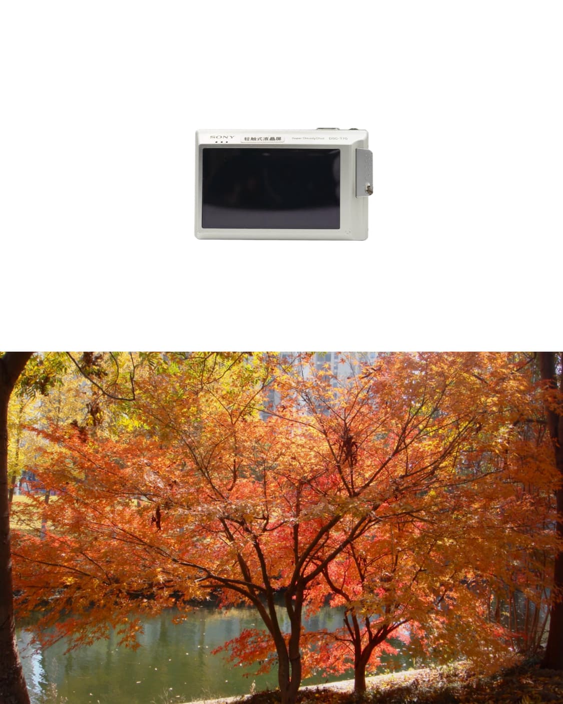 Sony DSC-T70 상품이미지2