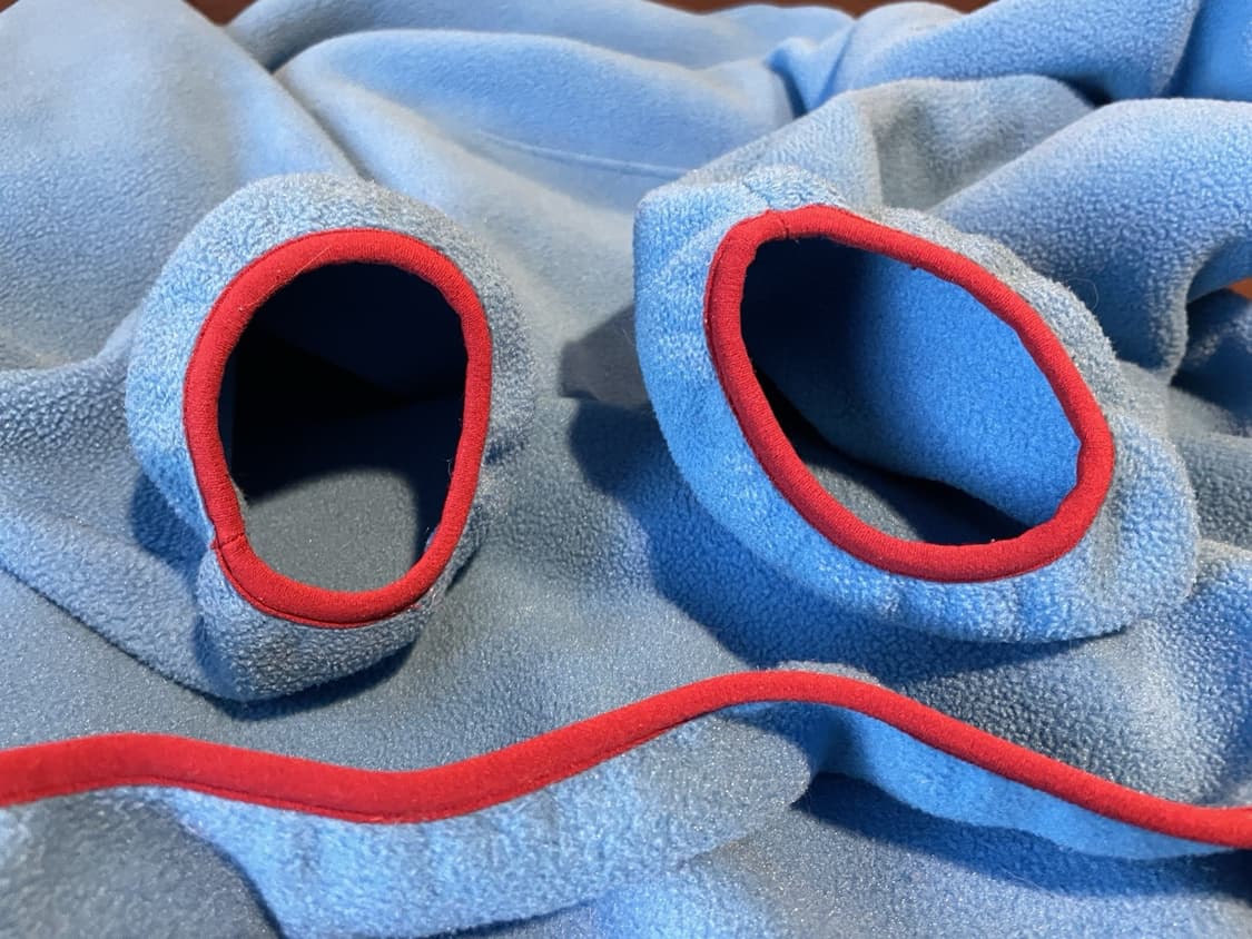 13FW 파타고니아 신칠라 스냅-T 플리스 스카이블루 레드 트림 상품이미지3