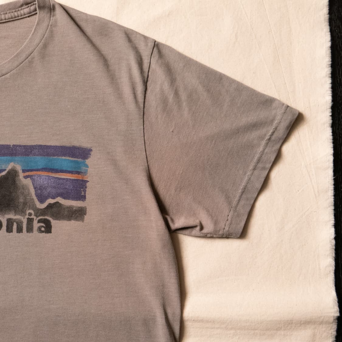 Patagonia ‘Archive Logo’ Paint Tee ~100 상품이미지4