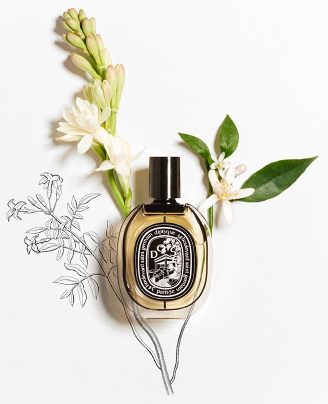 딥티크 대표향수  도손 오드퍼퓸 50ml 상품이미지2