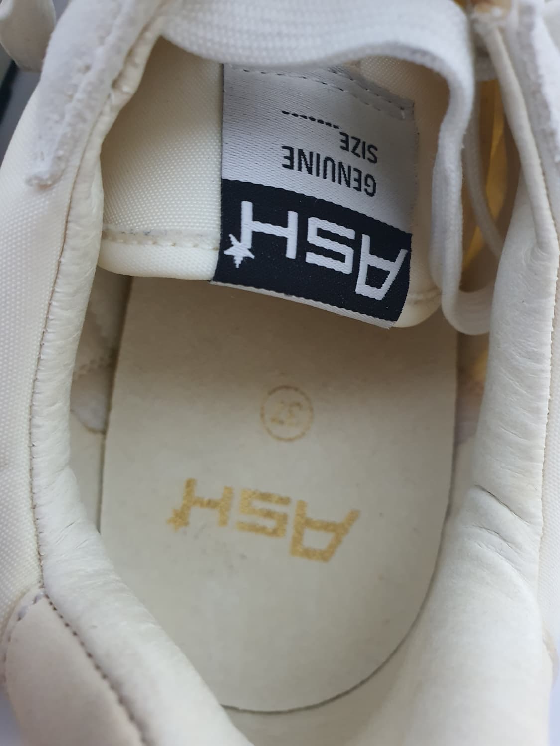 Ash 아쉬 스파이더 여자 스니커즈 240  상품이미지7