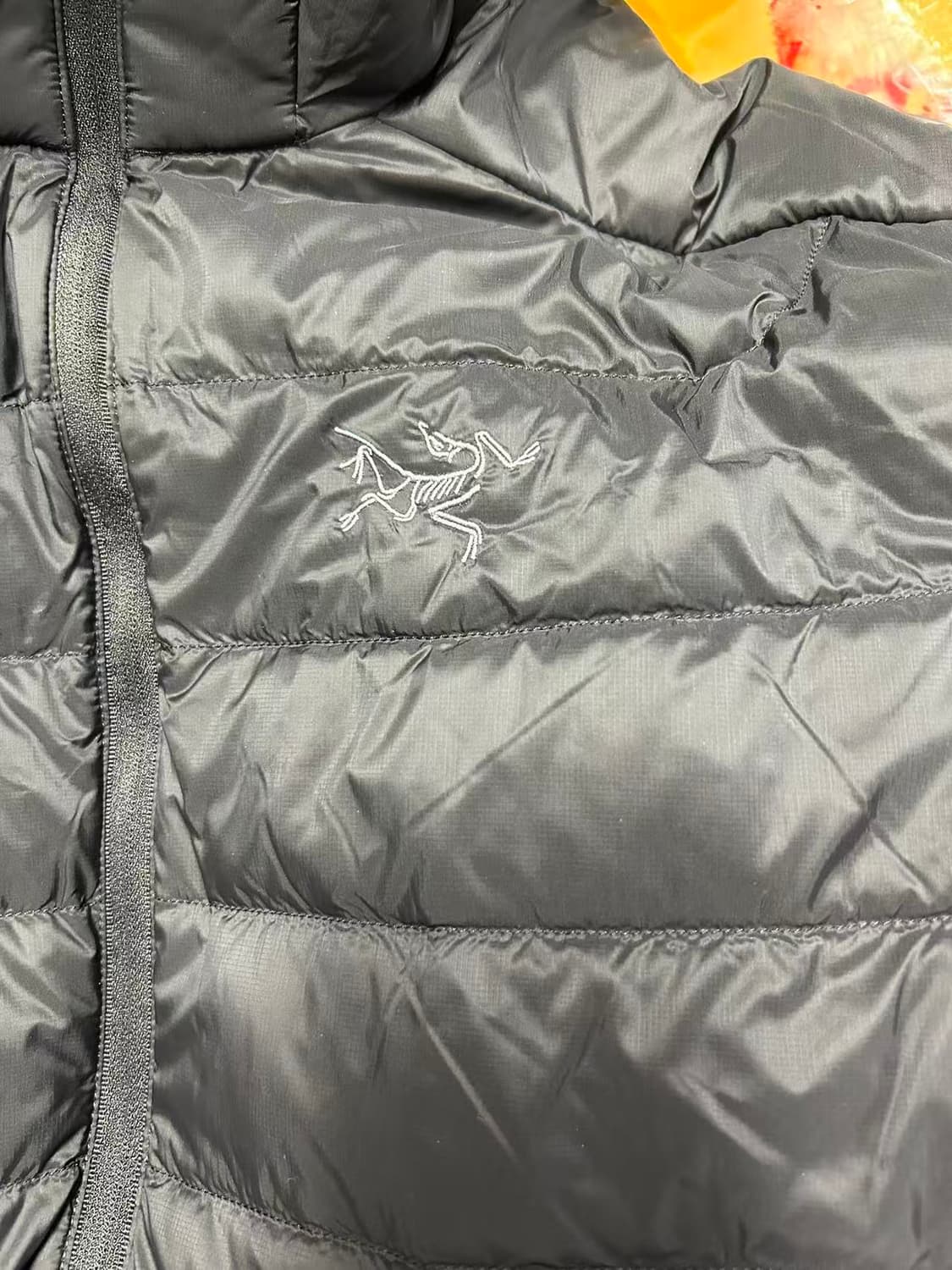 아크테릭스 세륨 후디 블랙 L 상품이미지2